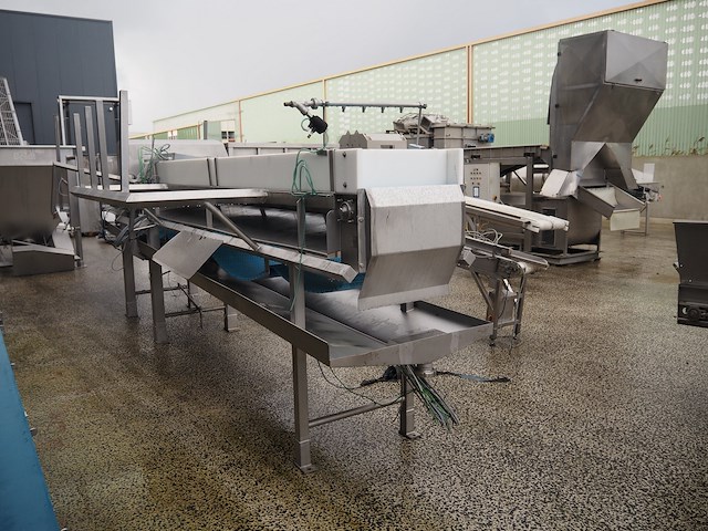 Loma - afbeelding 8 van  13