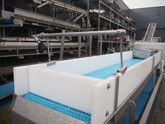 Loma - afbeelding 9 van  13