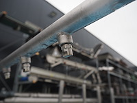 Loma - afbeelding 10 van  13