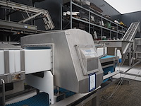 Loma - afbeelding 12 van  13