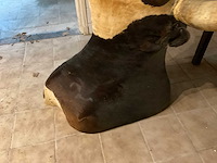 Longhorn kop - afbeelding 4 van  6