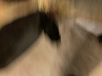 Longhorn kop - afbeelding 5 van  6