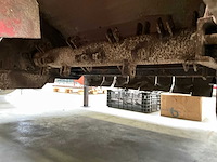 Loofklapper - afbeelding 2 van  15