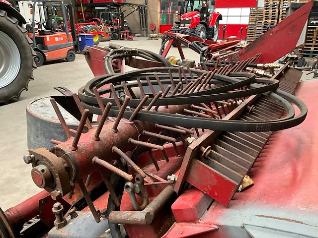 Loofklapper - afbeelding 5 van  15