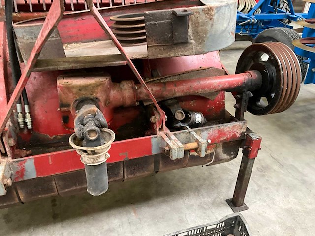 Loofklapper - afbeelding 11 van  15