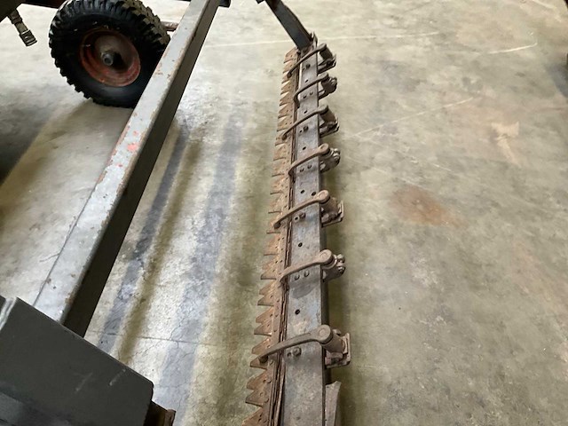 Loofklapper - afbeelding 17 van  20