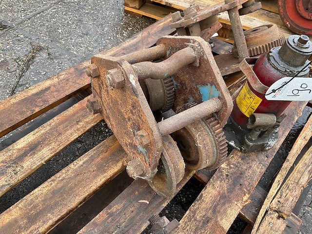 Loopkat (3x) - afbeelding 2 van  2