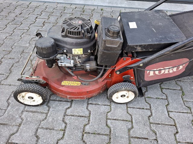 Loopmaaier, toro - afbeelding 2 van  7