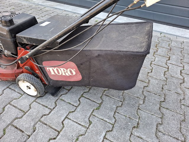 Loopmaaier, toro - afbeelding 3 van  7