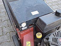 Loopmaaier, toro - afbeelding 6 van  7