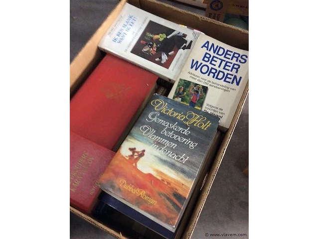 Lot 4 dozen boeken divers - afbeelding 3 van  5
