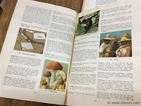 Lot albums familie - afbeelding 3 van  4