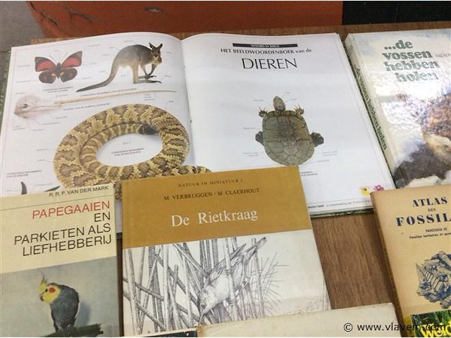 Lot boeken fauna &. flora - afbeelding 2 van  4