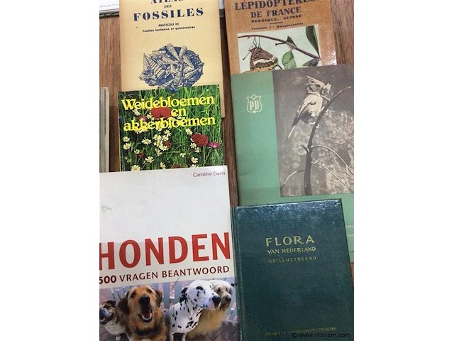 Lot boeken fauna &. flora - afbeelding 3 van  4