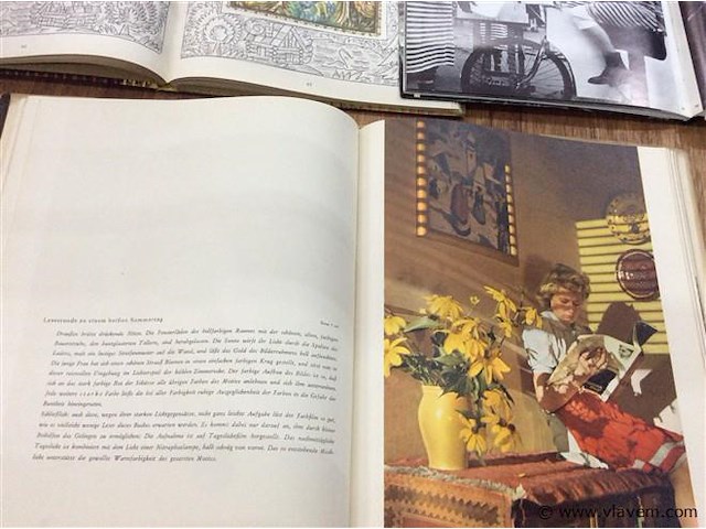Lot boeken oa carnaval - afbeelding 2 van  3