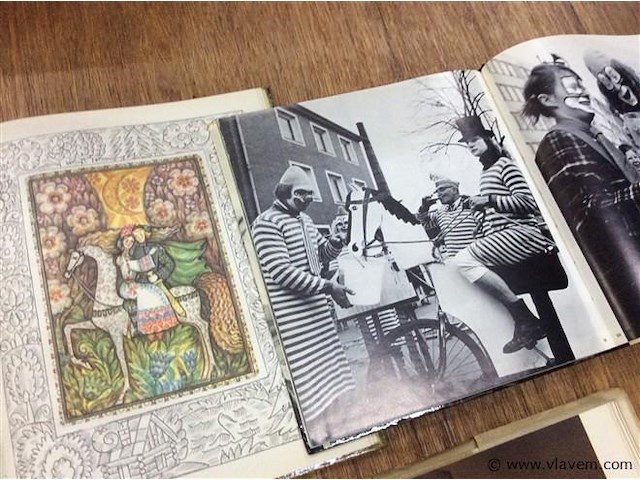 Lot boeken oa carnaval - afbeelding 3 van  3