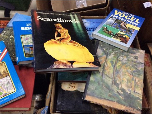 Lot boeken varia 6dozen - afbeelding 2 van  3