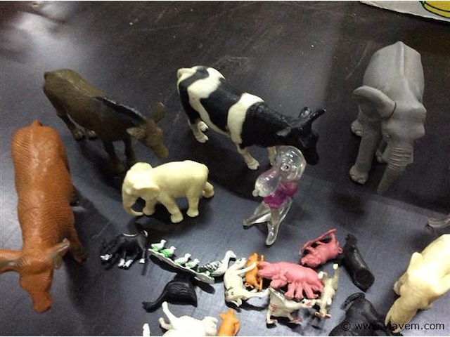 Lot dieren - afbeelding 2 van  3