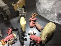 Lot dieren - afbeelding 3 van  3