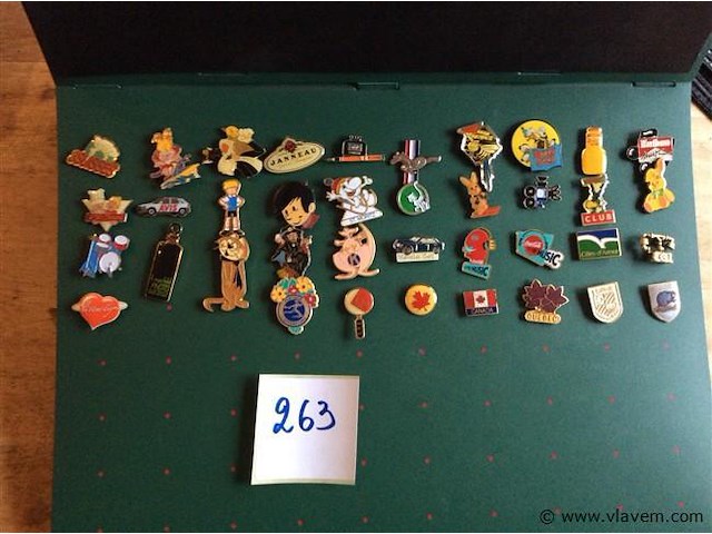 Lot diverse pins in kaft - afbeelding 1 van  5