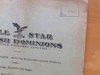 Lot eagle star - afbeelding 3 van  4
