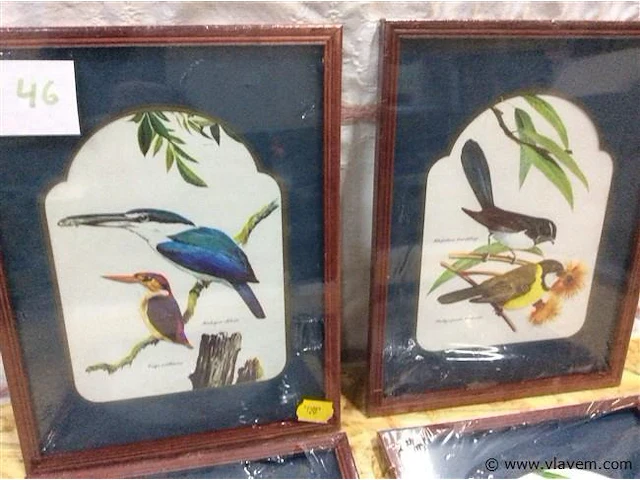 Lot kaders vogels 4st ( in verpqkking ) - afbeelding 2 van  3