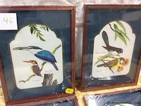 Lot kaders vogels 4st ( in verpqkking ) - afbeelding 2 van  3