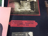 Lot kalenders - afbeelding 3 van  3