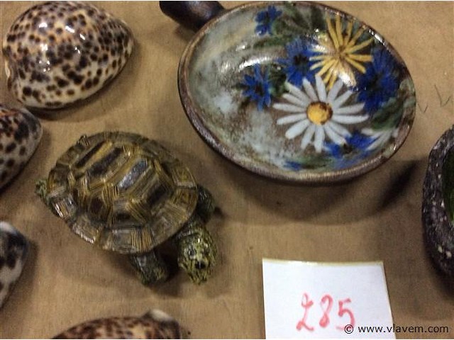 Lot oa schildpad - afbeelding 2 van  3