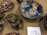 Lot oa schildpad - afbeelding 2 van  3