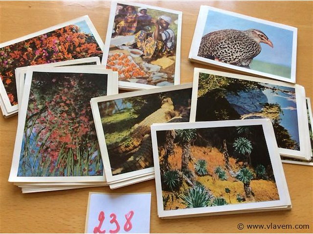 Lot prentjes congocôte d'or - afbeelding 1 van  2