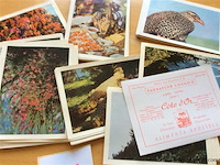 Lot prentjes congocôte d'or - afbeelding 2 van  2