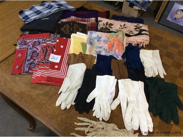 Lot sjaals + handschoenen - afbeelding 1 van  4