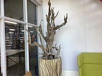 Loungebank met 2 poefs, bijzettafel, decoratie plant en kist met bordjes - afbeelding 3 van  4