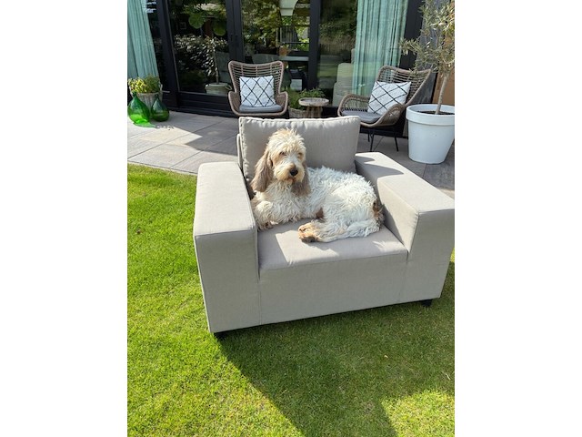 Loungefauteuil allweather, marche, sand, 2026 - afbeelding 1 van  5