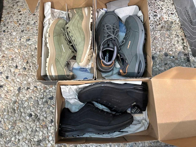 Lowa renegade evo gtx lo ws wandelschoen (3x) - afbeelding 2 van  5