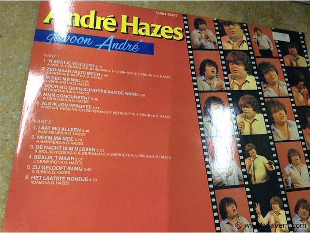 Lp a. hazes - afbeelding 2 van  2