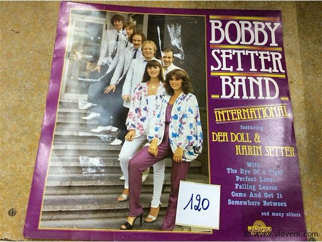 Lp bobby setter - afbeelding 1 van  2