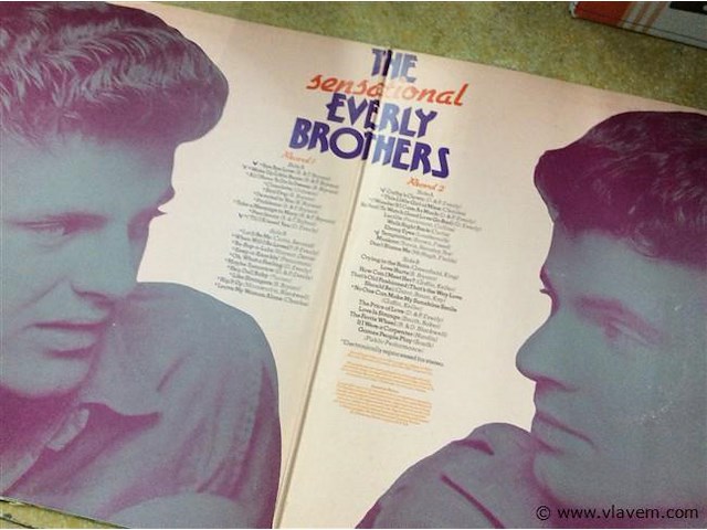 Lp everly brothers - afbeelding 2 van  2