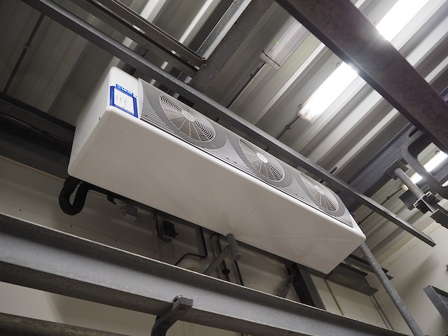 Lu-ve - afbeelding 1 van  5