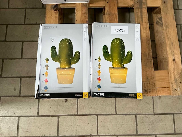 Lucide cactus tafellampen (4x) - afbeelding 1 van  2