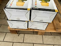 Lucide cactus tafellampen (4x) - afbeelding 2 van  2