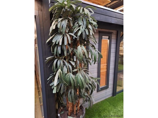 Lugarde pro-systeem tuinhuis - 530x396cm - afbeelding 12 van  18