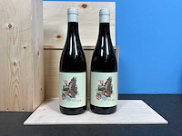 Lukas van loggerenberg geronimo cinsault 2019 rode wijn (2x) - afbeelding 1 van  3