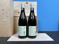 Lukas van loggerenberg geronimo cinsault 2019 rode wijn (2x) - afbeelding 2 van  3