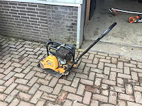 Lumag- trilplaat - afbeelding 2 van  3