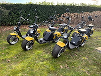 Luqi hl 3.0 e-scooter (5x) - afbeelding 1 van  20