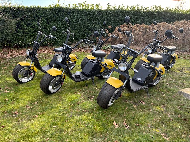 Luqi hl 3.0 e-scooter (5x) - afbeelding 1 van  15