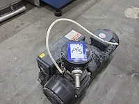 Lutetia - afbeelding 16 van  17