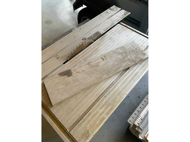 Lutz jumbo tafelcirkelzaagmachine - afbeelding 5 van  5